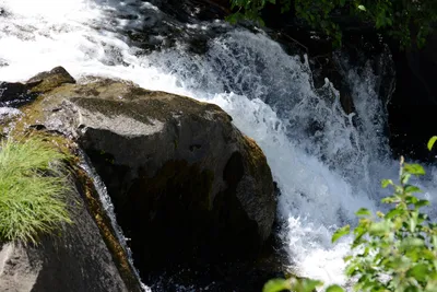 DSC_3211 (Large).JPG